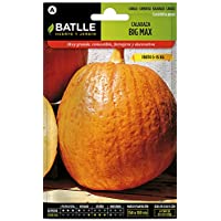 Semillas Hortícolas - Calabaza Big Max - Batlle
